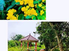 -三岔湖景区