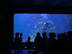 -左海海底世界