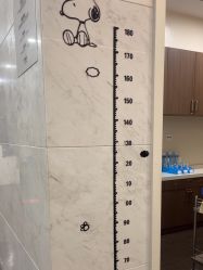 -上海玫瑰医疗美容医院