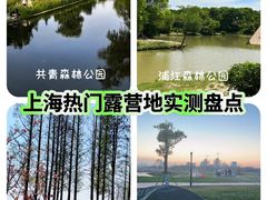 -上海共青森林公园