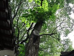 -虞山风景区