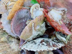 彩虹贝-老虎滩大连海鲜烧烤(建邺云锦路总店)