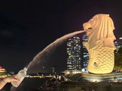 -鱼尾狮公园