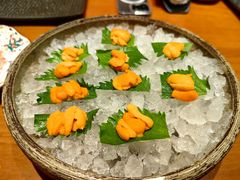 -月龍吟(朝龙汇店)