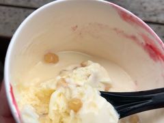 -Patagonia Chocolates(皇后镇店)