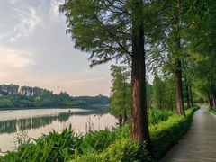 -南国桃园旅游度假区