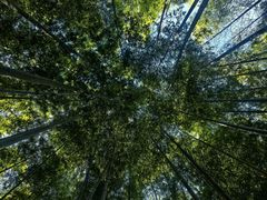 -陶祖圣境风景区