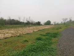 -盘龙城国家考古遗址公园