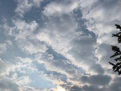 -四川大学(望江校区)