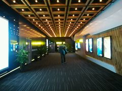 -奥斯卡升龙国际影城(RealD Cinema)