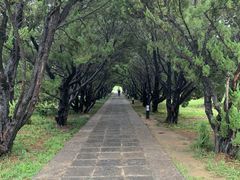 -洛阳古墓博物馆