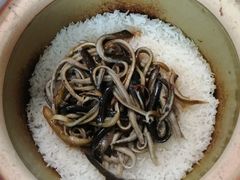 -顺德·古草食记(长寿店)