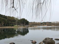 -东方绿舟景区