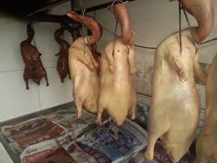 android_upload_pic-宋柏树北京果木烤鸭(安东卫店)