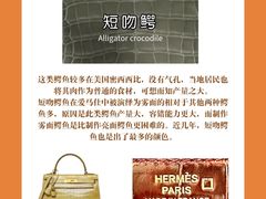 -海星奢选二手奢侈品手表包包鉴定回收寄卖(墨玉南路店)