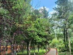 -吉林大学(前卫南区)