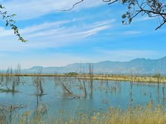-野鸭湖国家湿地公园