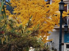 -云漫湖生态度假公园