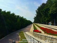 android_upload_pic-宝安西湾红树林湿地公园