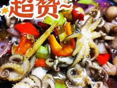 酱爆八爪鱼-三鼎甲烧烤城