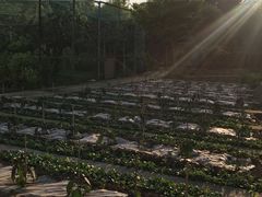 -渭塘酒家(生态园店)