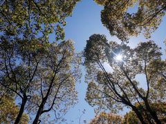-上海吴淞炮台湾国家湿地公园