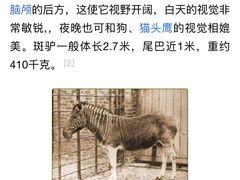 -北京动物园