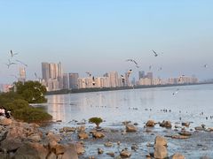 -深圳湾公园(南山区)