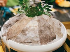 精选毛肚-王家渡火锅(金宝汇店)