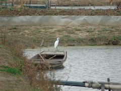 -乡乐园蟹庄·阳澄湖农家乐