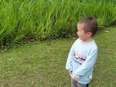 -共青国家森林公园-售票处