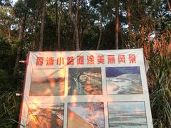 -小皓村