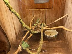 -上海大自然野生昆虫馆