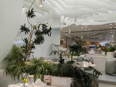 -大树餐厅(朝阳大悦城店)