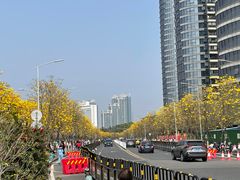 -洲头咀公园