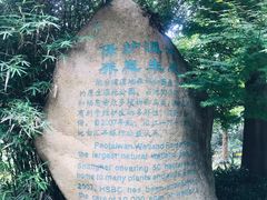 -吴淞炮台湾湿地森林公园烧烤区