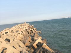 -东疆建设开发纪念公园