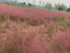 -汉长安城未央宫国家考古遗址公园