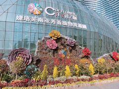 -花之城
