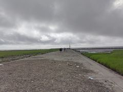 -南汇嘴观海公园