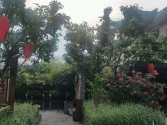 -慢丽江·云南野生菌土鸡锅(付家庄店)