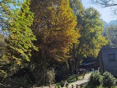 -秦岭终南山世界地质公园翠华山景区