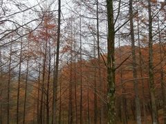 -光雾山旅游景区
