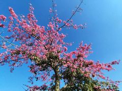 -白石龙音乐公园