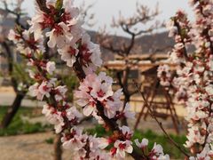 -天津盘山风景名胜区