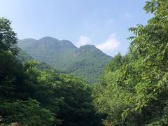 -龙道沟景区