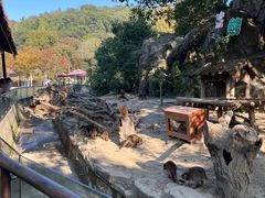 -宁波野生动物园