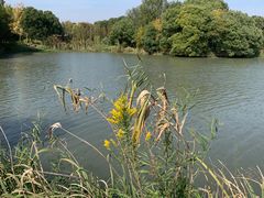 -梁鸿国家湿地公园