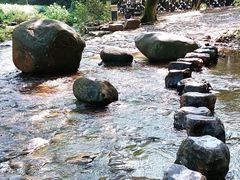 -十八棵（老龙井）御茶园(老龙井店)