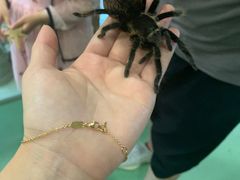-藦茜花园宠物主题亲子互动体验馆(国顺东路店)